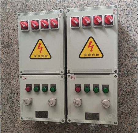 欧瑞克二级三级弱电防爆照明配电箱 带漏电保护
