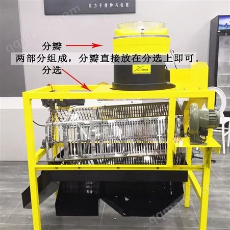 2022德易播 大蒜分瓣分选机 不伤蒜分选分瓣一体机 蒜种分选分级