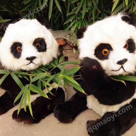 戶外仿真皮毛動物模型 仿真熊貓 影視道具用標本