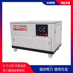 歐洲獅25kw汽油發電機組B-25GDI