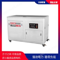 歐洲獅30kw汽油發電機組B-30GDI