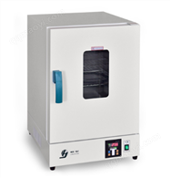 电热恒温干燥箱DHG-9031A